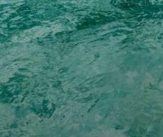 INTERNATIONAL TRAVELS VENGARA